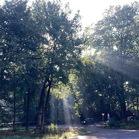 De Blauwe Flinderkes Nijmegen