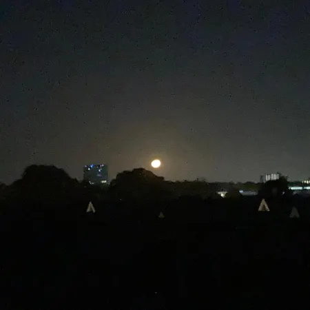 De Blauwe Flinderkes *