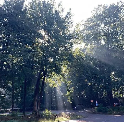 De Blauwe Flinderkes Неймеген