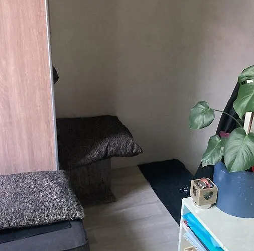 De Blauwe Flinderkes Nijmegen