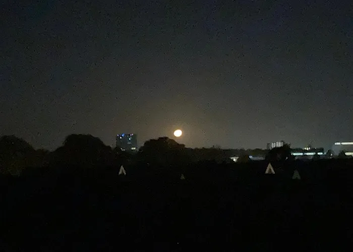 De Blauwe Flinderkes *