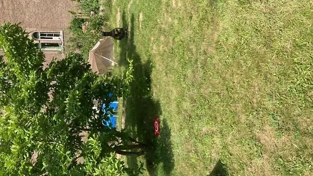 De Blauwe Flinderkes Hotel *