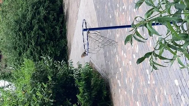 Hotel De Blauwe Flinderkes